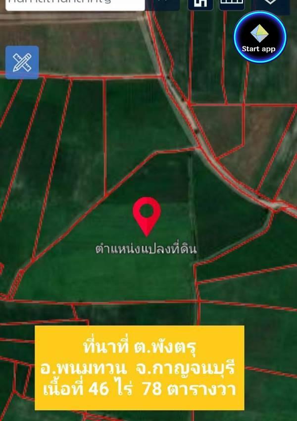 ขายที่ดิน ตำบลพังตรุ อำเภอพนมทวน จังหวัดกาญจนบุรี จำนวน 46 ไร่ 78 ตารางวา